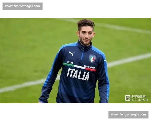 法国对阵澳大利亚巅峰较量全场集锦解析与关键瞬间回顾深度复盘战术