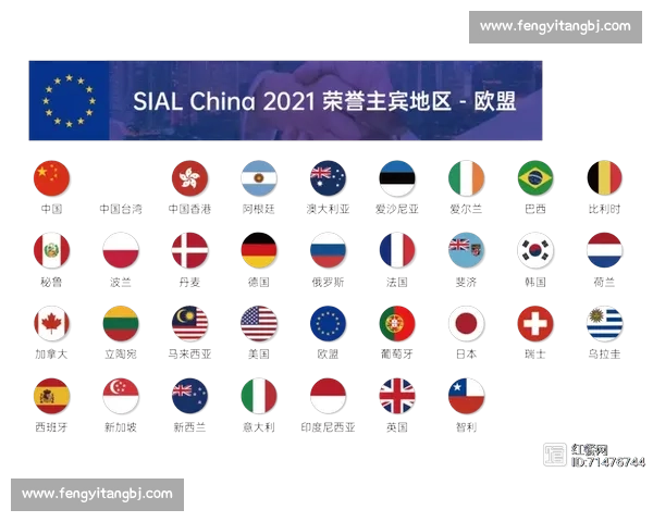 爱尔兰对阵乌拉圭比赛解析与战术走势及胜负关键前瞻全面深度
